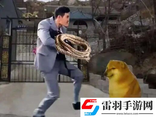 嘎子偷狗表情包