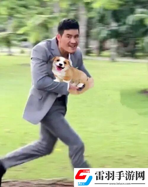 嘎子偷狗表情包