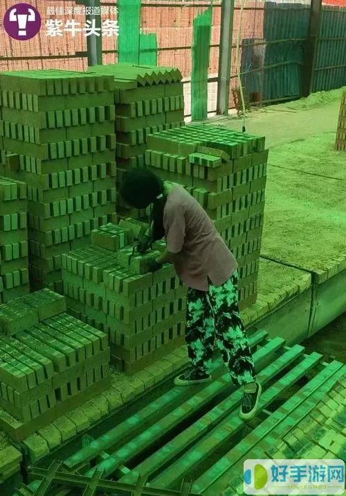 100級(jí)搬磚2021