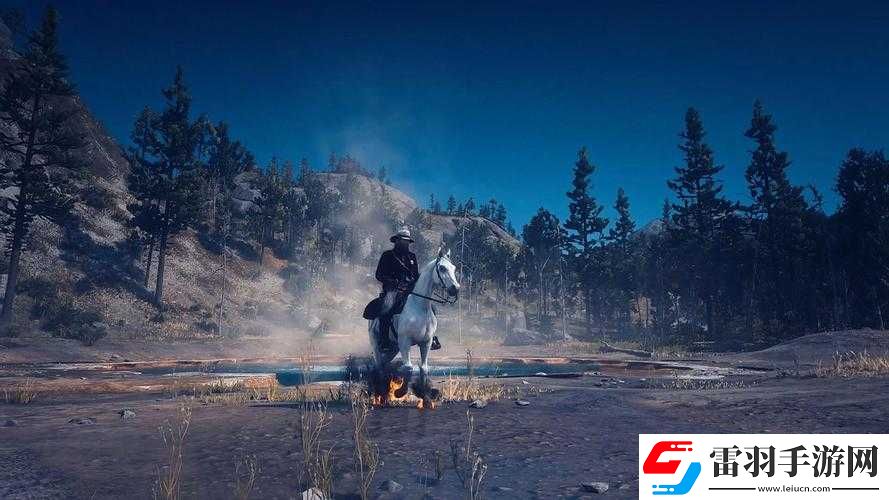 公園里的老年鏢客視頻大全