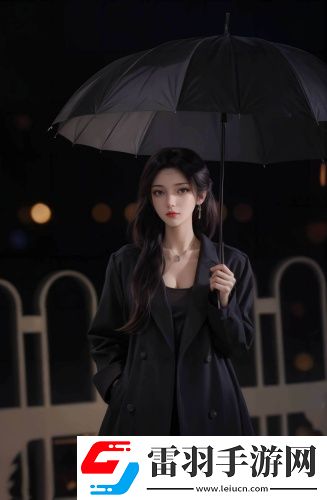 2024永久免費(fèi)access進(jìn)銷存華語版